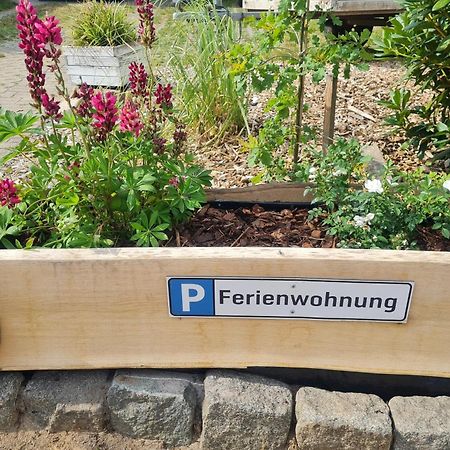 Ferienwohnung Im Winkel Hanstedt Exteriör bild