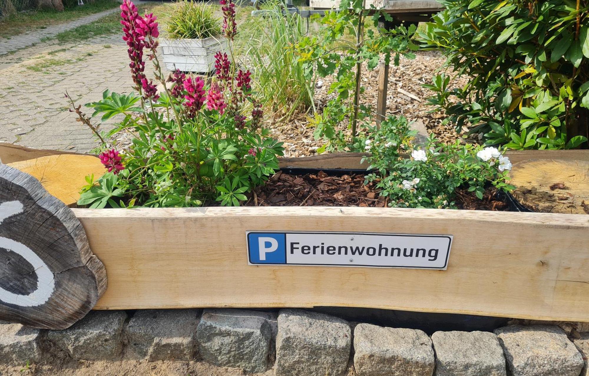Ferienwohnung Im Winkel Hanstedt Exteriör bild
